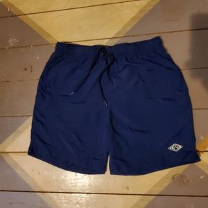 Pacsun Board Shorts